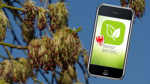 Video: «Pollen-app: Neuer Info-Dienst hilft Allergikern. Umwelttipp. Antenne Produktion»