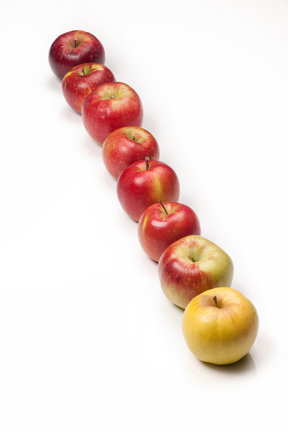 Video: «Gli studi sulle varietà di mele»